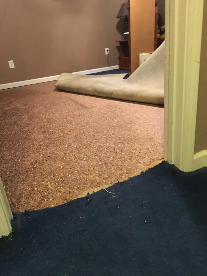 Carpet pad removal revealing water damage during Drying & Dehumidification in Streamwood