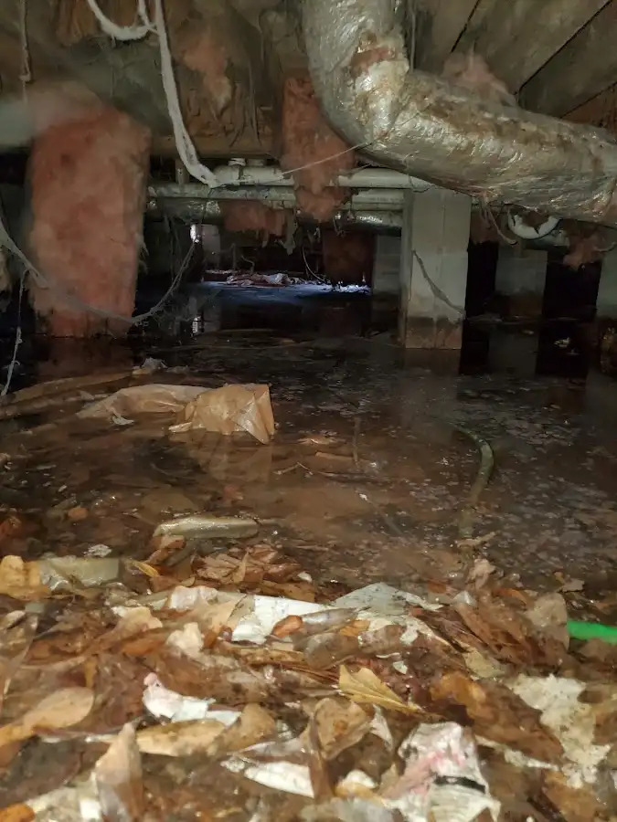 Crawl space flood assessment for Leak Detection & Repair in Streamwood