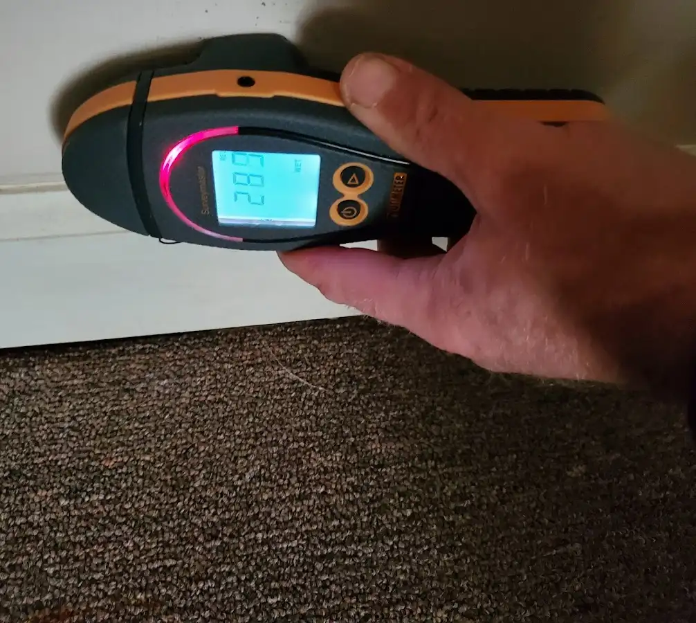 Moisture detection at baseboard during Mold Inspection & Testing in Streamwood